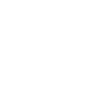 ROOTS